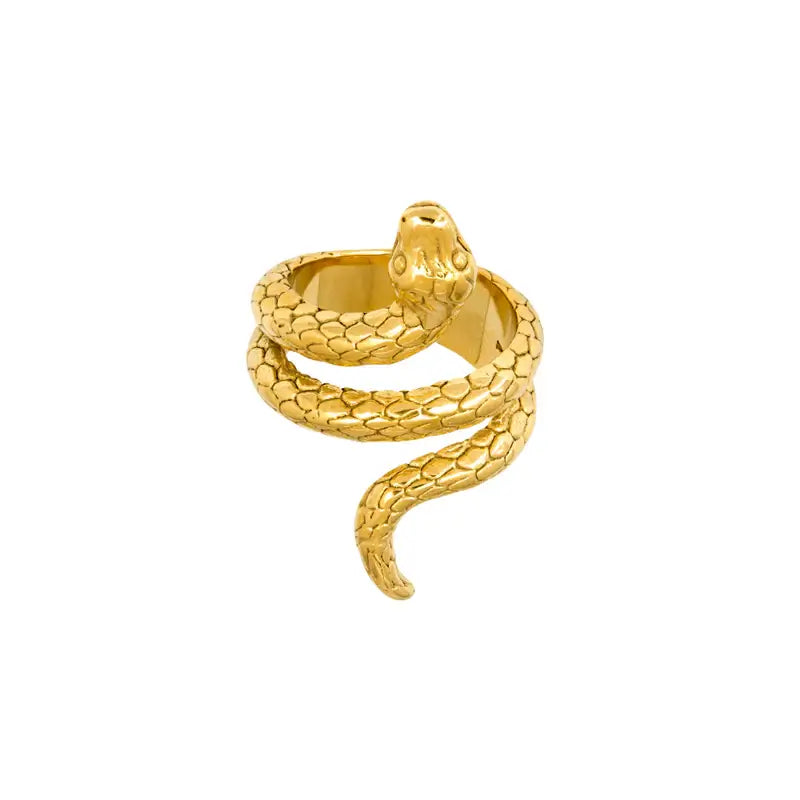 Anel Snake Banhado a Ouro 18k ANEL 74 Blueen Store 12/13 Dourado 