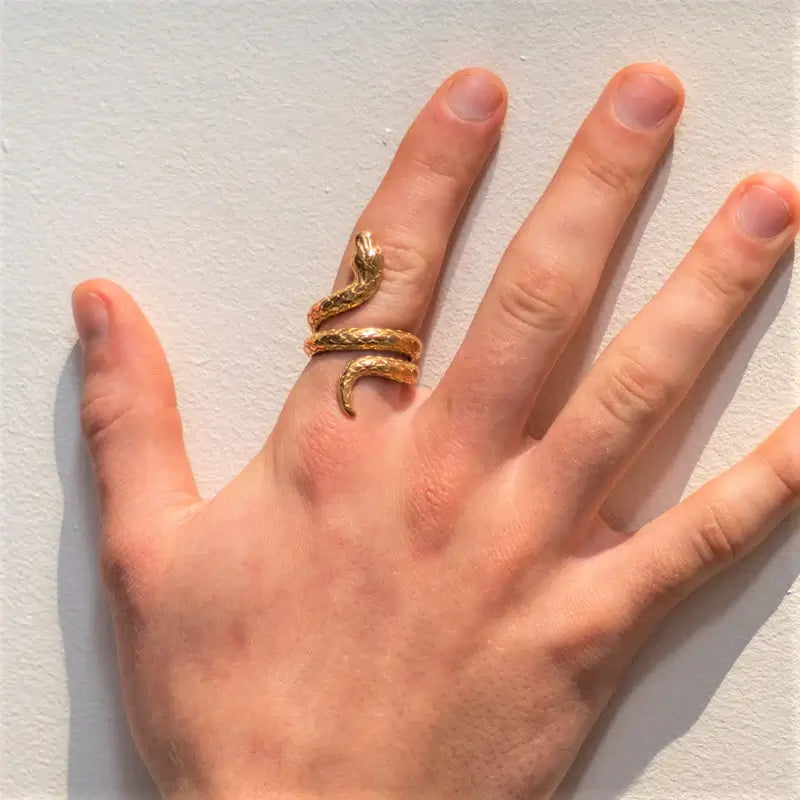 Anel Snake Banhado a Ouro 18k ANEL 74 Blueen Store 