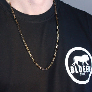 Corrente Cadeado Banhada A Ouro 18k COLAR 67 Blueen Store 